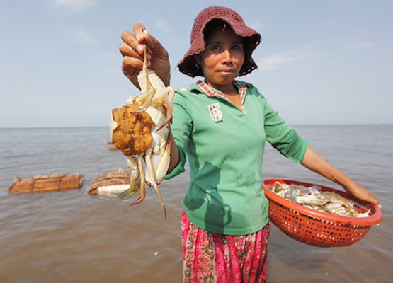 attraction-Kep Population 2.jpg